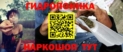 ГАЛЛЮЦИНОГЕННЫЕ ГРИБЫ Кандалакша
